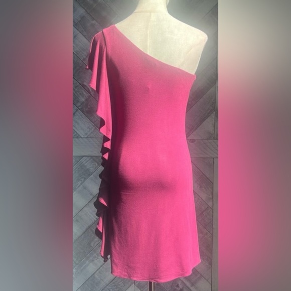 SKY NWT ONE SHOULDER RUFFLE DRESS - Picture 4 of 7